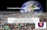 Contaminación  visual y del suelo