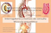 Interrogatorio y Motivos de Consulta Musculo Esqueletico