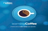 Netex learningCoffee | LearningMEX 2015 [ES]