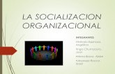 Socializacion organizacional