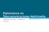 Core Fijo - Diplomatura en Telecomunicaciones Multimedia - Unidad 4.2