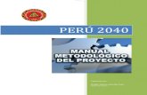 PERU 2040 Gestion del Proyecto