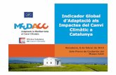 Indicador global d’adaptació al canvi climàtic a Catalunya