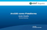 Día Esri en Granada, Marzo 2014: ArcGIS- La Plataforma Esri para la gestión de información geográfica