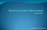 Reanimación neonatal 2014