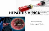 Hepatitis cronica- aguda virica