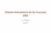 Sistema inmunitario de las mucosas (sis)