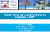 Nuevas y futuras opciones antimicrobianas ante infecciones por MRSA - Dr. Castelo OCT2014