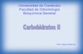 Clase carbohidratos ii.odontologia 2013 (2)
