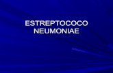 Estreptococo neumoniae