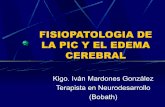 Fisiopatologia de la pic y el edema cerebral