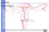Lesiones benignas de vagina y vulva