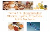 Tema1.1.biomolecules 2013