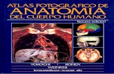 Atlas fotográfico de anatomia espanhol (3ª ed) (1)