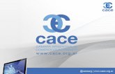 Presentación: Primeros pasos en eCommerce - Marzo 2015 - Seminario CACE