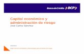 Capital Económico - José Carlos Sánchez