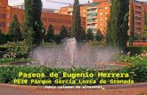Espana Granada Parque Garcia Lorca