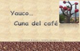 Yauco: Cuna del Café