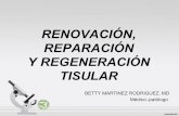 Renovación, reparación y regeneracion tisular