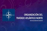 Organización deT tratado Atlántico Norte