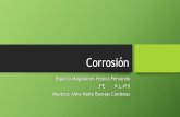 Corrosion- Proyecto IV