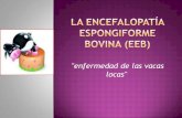 La encefalopatía espongiforme bovina (eeb)