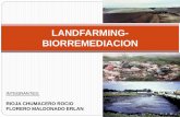 Landfarming biorremediacion