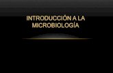 Introduccion a la microbiologia
