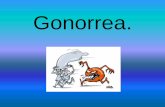 Gonorrea y Clamidiosis