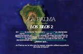La Palma Los Tilos (Islas Canarias)