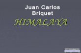 Juan Carlos Briquet Himalaya