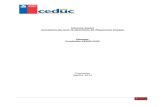 Competencias chile informe inicial-ceduc-ucn