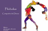 Pilobolus-Compañia de Danza