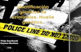 Identificaci³n gen©tica de criminales. huella gen©tica