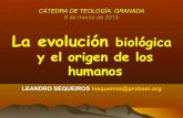 Evolucion y evolucion humana