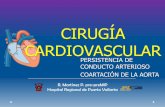 congenital heart disease: PDA and aorta coarctation
