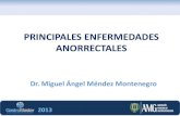 Principales enfermedades anorrectales   dr. miguel ángel méndez montenegro