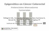 Epigenética en cáncer colorectal Pablo Argibay