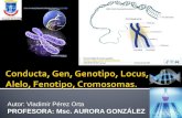 Definición de Conducta, Gen, Alelos, Genotipo, Fenotipo, Cromosoma, Tipos de Cromosoma