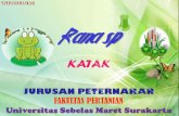 Presentasi Praktikum Zoologi "Katak" Rana s Peternakan UNS 2013
