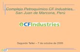 Cf Industry Petroquimica Segunda Reunion
