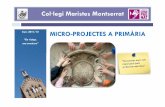 Micro-projectes a primària