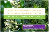 Recursos botánicos con potencial bioinsecticida (4)