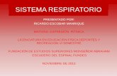 Sistema respiratorio exposicion-expresión rítmica