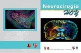 Neurocirugía Hoy, Vol. 7, Numero 21