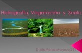 Hidrografía, vegetación  y  suelo