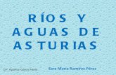 Rios y otras aguas de Asturias,Sara