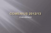 Comenius 2012