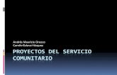 Proyectos Del Servicio Comunitario (Mauricio)