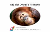 Día del Orgullo Primate